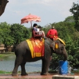 Elephant Ride_2