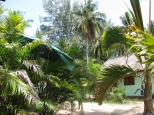 Bungalow View_2