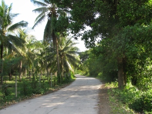 Simple Road