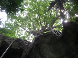 Looking Above Cave