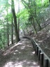 Mt. Haneko Trail_5